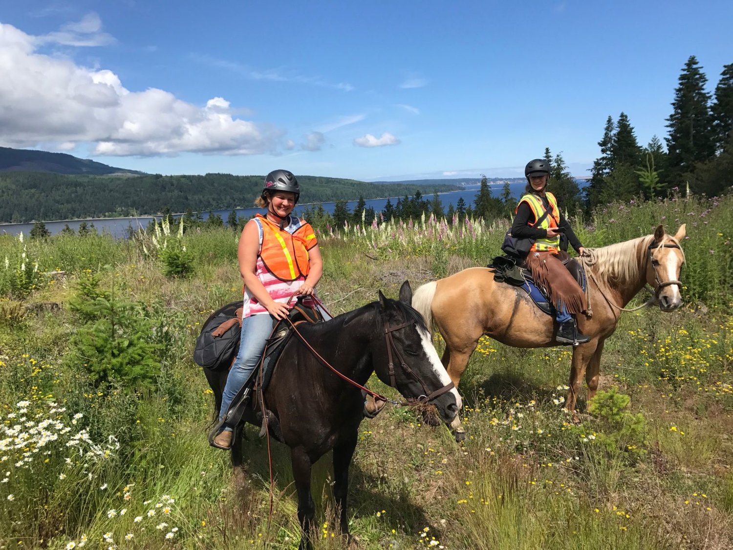 Horseback riding quartet blazes Olympic Discovery Trail