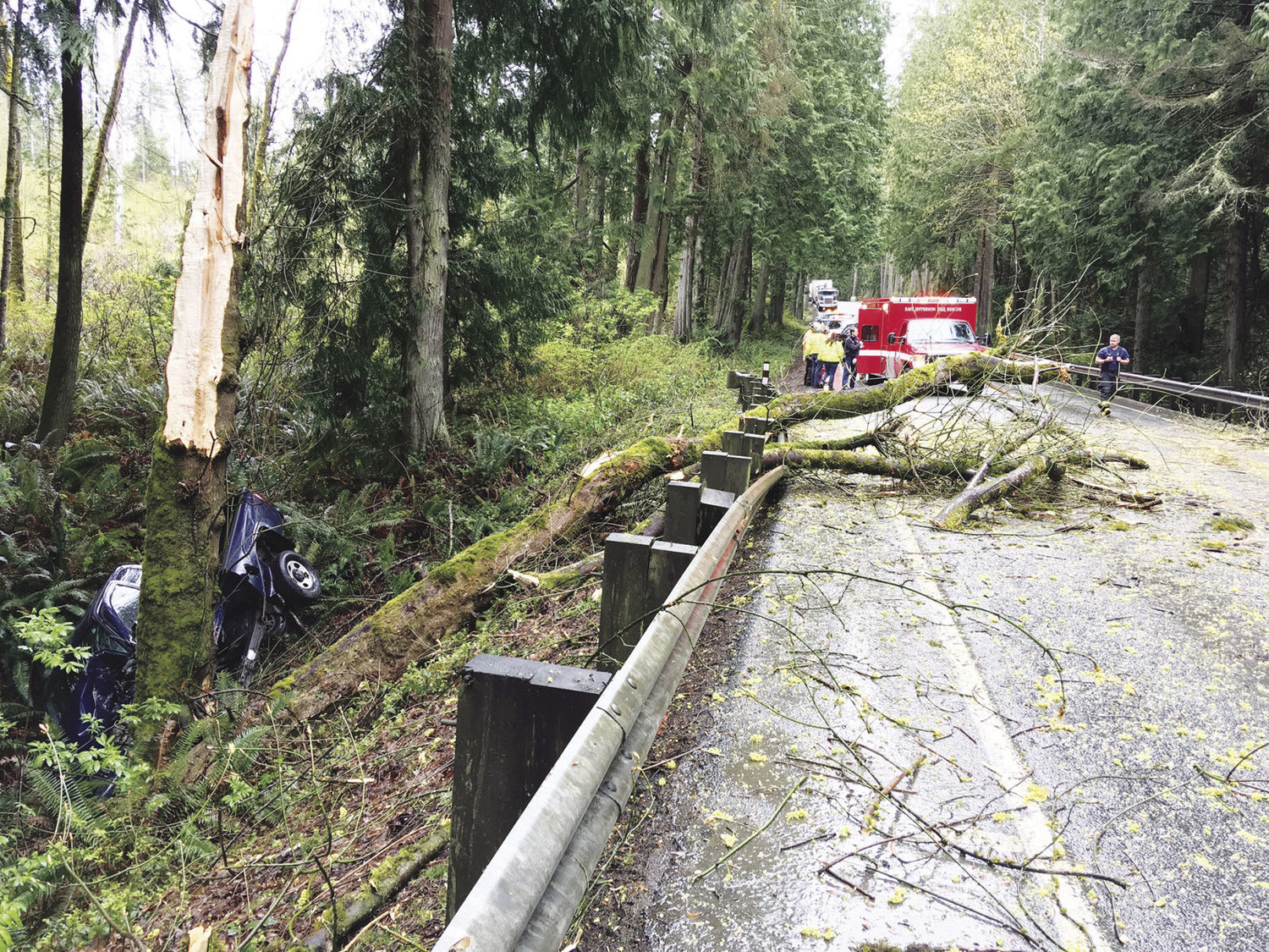 A Jefferson County Public Utility District employee died after the truck he was driving April 16 drifted off the highway. The force of the impact broke off a tree and caused it to fall on State Route 20. Photos courtesy East Jefferson Fire Rescue