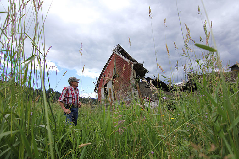 In the 1950s and ’60s, Gerald Bishop grew up playing inside the barn with the McConaghy kids. After new owners took over in the ’70s, Bishop rented the land for 30 years before finally buying it in February 2016. By then, the barn had been neglected for 40 years and had already partially collapsed. Photo by Jacqueline Allison