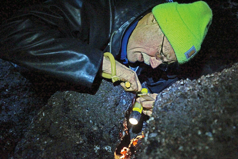 Howard Teas of Chimacum lies on his stomach and uses a flashlight to peer into a crevice in the rocks that make up a jetty at Indian Island County Park on the evening of Feb. 16. Teas and several other volunteers joined Port Townsend Marine Science Center staff in counting and measuring sea stars in two monitoring plots on the jetty. Photo by Nicholas Johnson