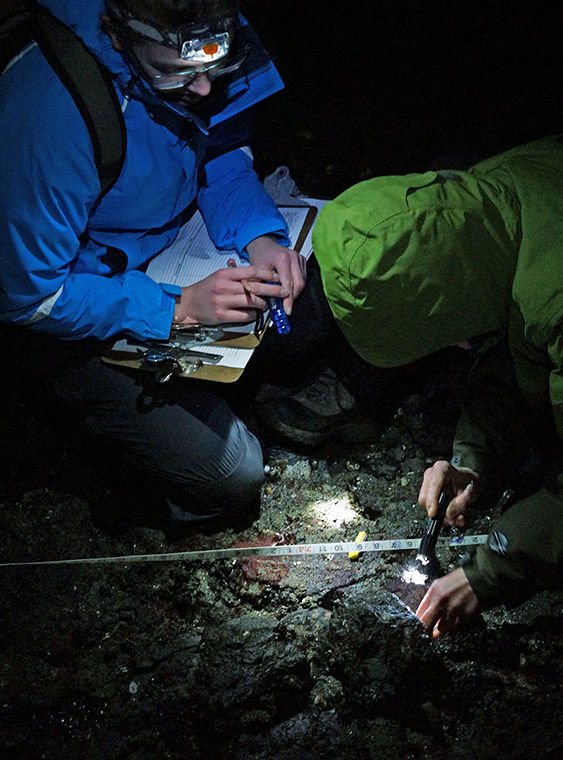 Shannon Phillips and Luzi Pfenninger get a closer look at a sea star on the evening of Feb. 16 while scouring two sea-star monitoring plots on a jetty at Indian Island County Park. Photo by Nicholas Johnson