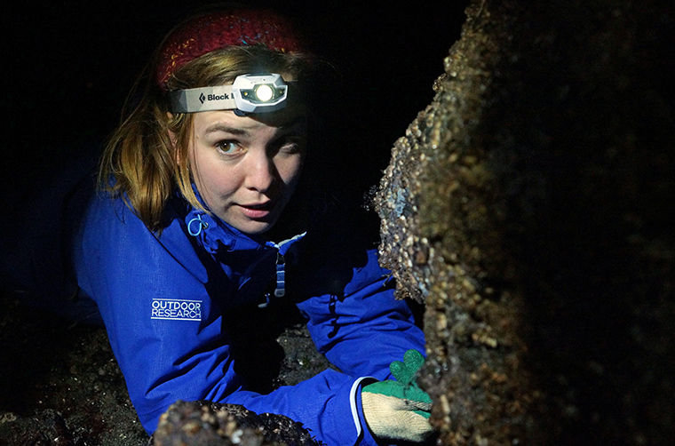 Erika Winner, an AmeriCorps marine mammal stranding educator at the Port Townsend Marine Science Center, looks under a rock on the evening of Feb. 16 while she and several other scour two sea-star monitoring plots on a jetty at Indian Island County Park. Photo by Nicholas Johnson