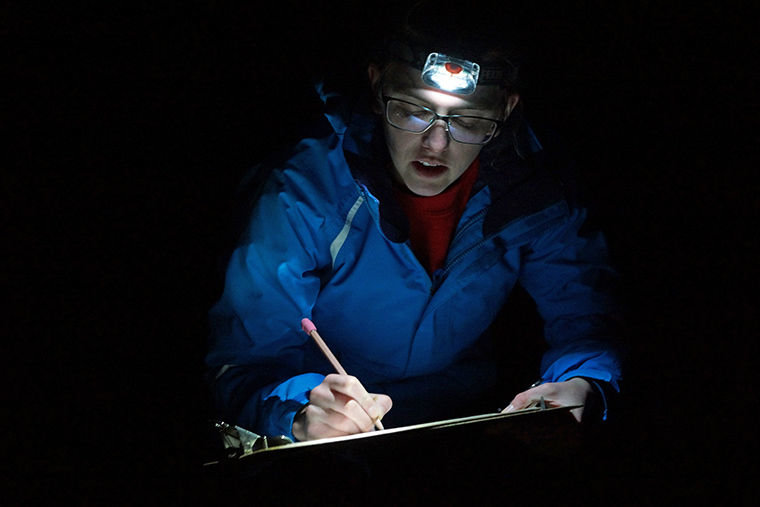 Shannon Phillips, AmeriCorps marine exhibit educator at the Port Townsend Marine Science Center, records measurements as they are called out by volunteers scouring two sea-star monitoring plots on a jetty at Indian Island County Park on the evening of Feb. 16. Photo by Nicholas Johnson