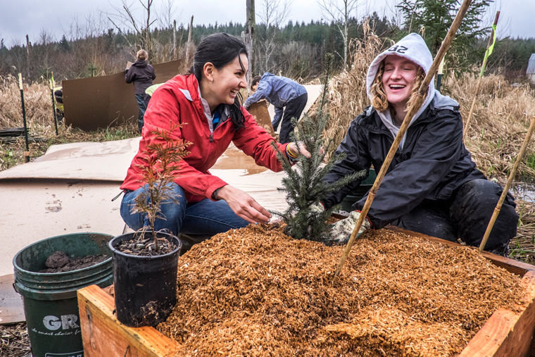 Youth crew leaders Anda Yoshina (left) and Nicola Pieper, both students at the Chimacum Pi Program, worked together to install trees in a “planter box” designed to mimic the role of nurse logs in wetland conditions. Photo by Charles Espey