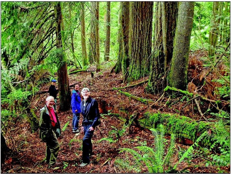 Supporters tour the Tarboo Forest conservation project in the Tarboo Valley near Quilcene. Pictured are (from left) Stephen Cunliffe, Hal Beattie, Janet Welch and Willi Smothers.