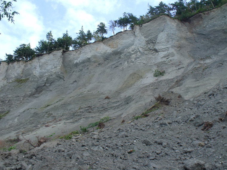 This scene is taken from the trail crossing the existing slide, and looks up at a section of bluff that nearly a week later, partially collapsed, as caught on Leader video. Photo by Steven Johnson