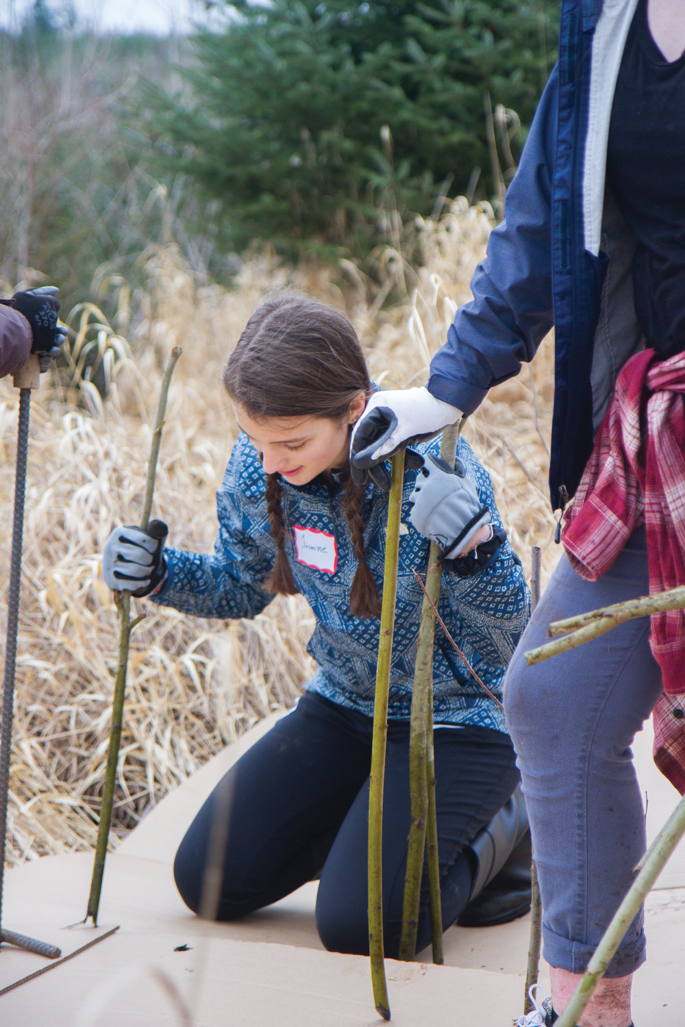 Jasmine Yearian instructs her fellow tree-planters on spacing willow cuttings.