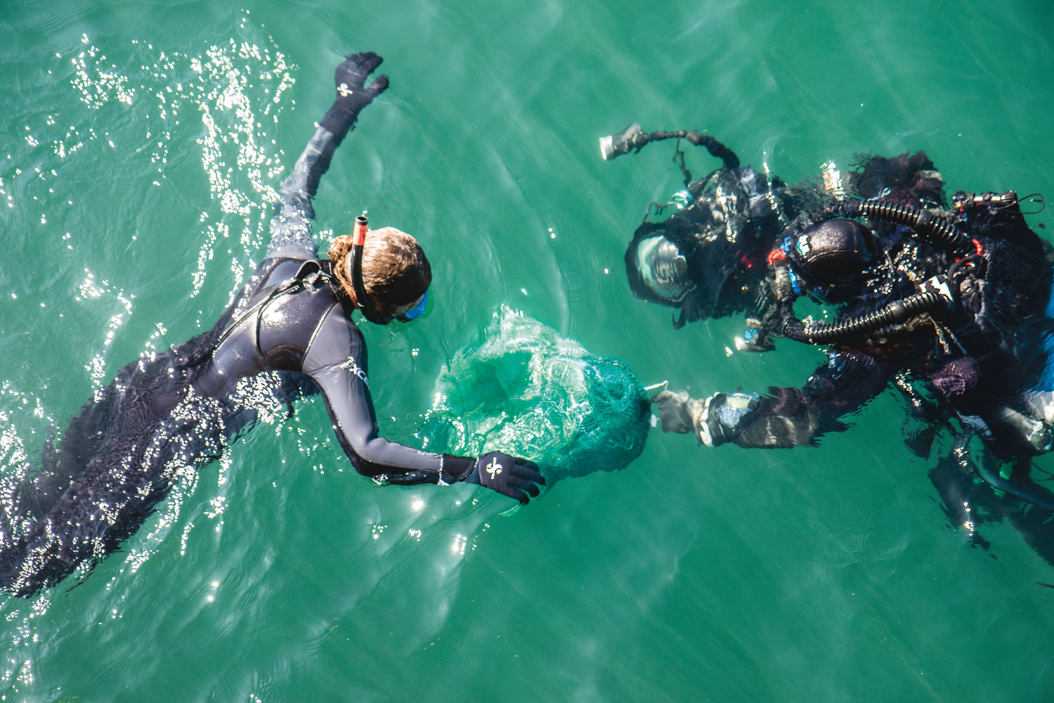 Ali Redman hands off Eleanora, the Giant Pacific Octopus to Florian Graner who is suited up in full diving gear to take her to a den on the seafloor, where they hope she will continue to live.