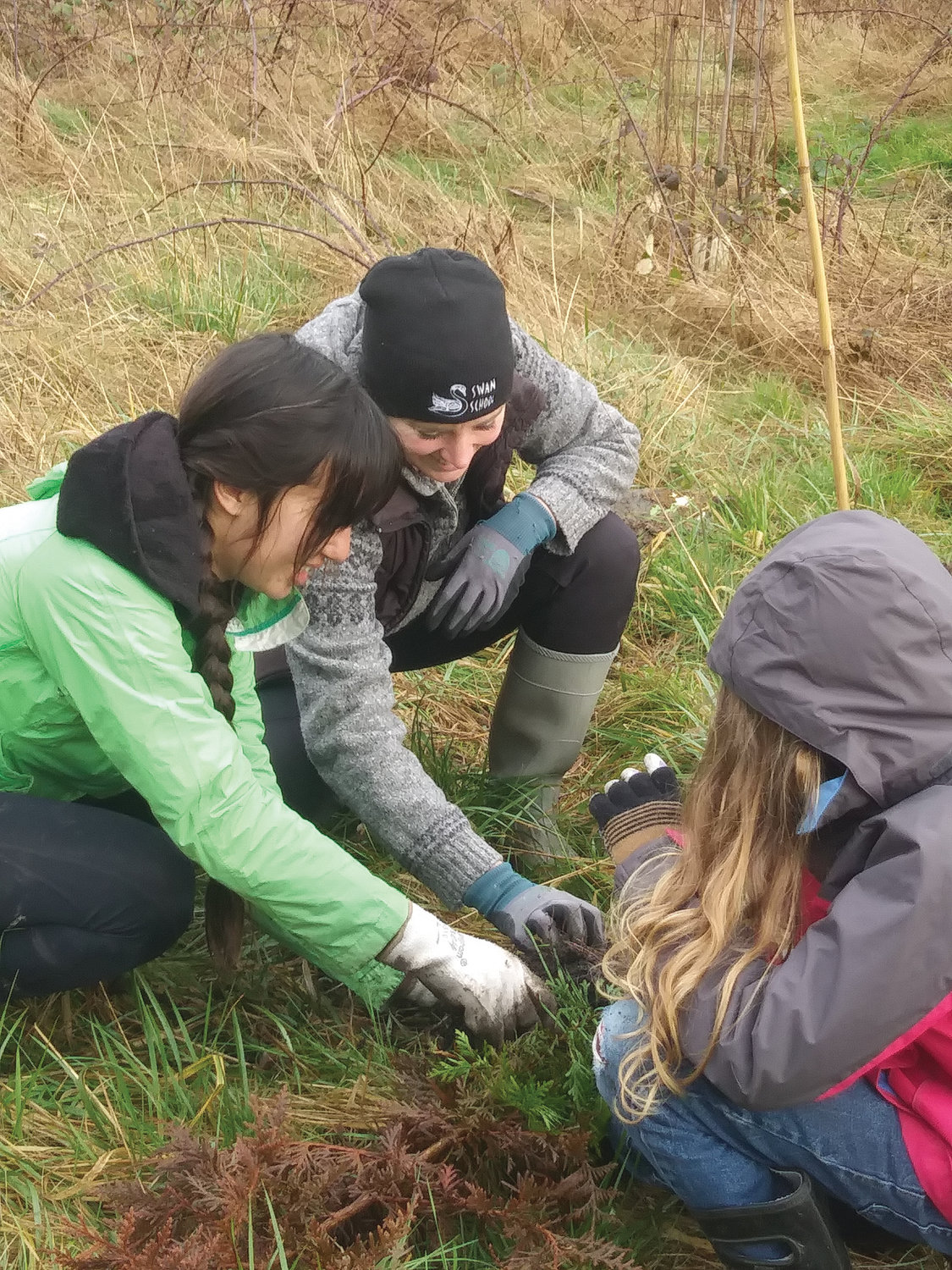Teen crew leader Anika Avelino works with Emily Cohn and Sam Cohn of Swan School to plant trees.