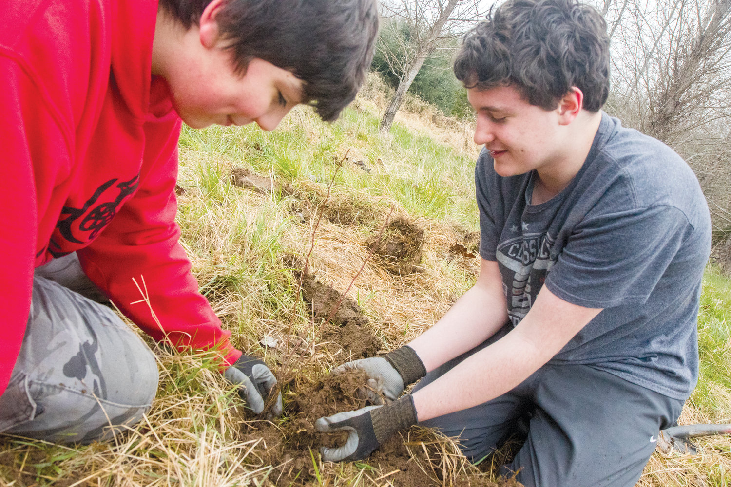 James Wagamon, left, and Callen Johnson spread soil over a newly planted nootka rose.