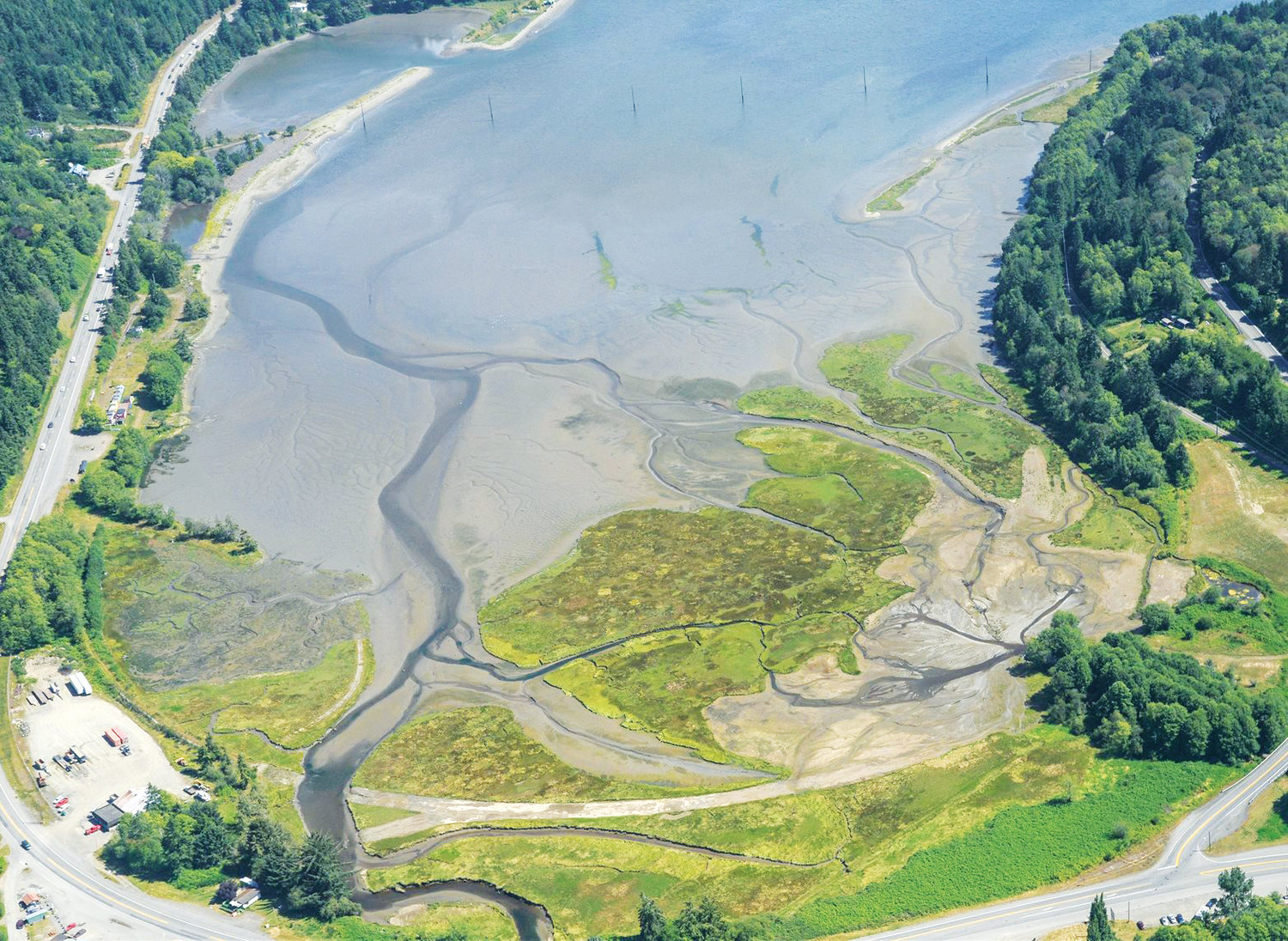 Discovery Bay, an estuarine salt marsh habitat, freshwater marsh, sand spit, tide flats, tidal channels and the mouth of a fish-bearing stream, provides critical habitat for federally listed salmon species and other fish and wildlife, such as Olympia oysters, forage fish and migratory shorebirds.