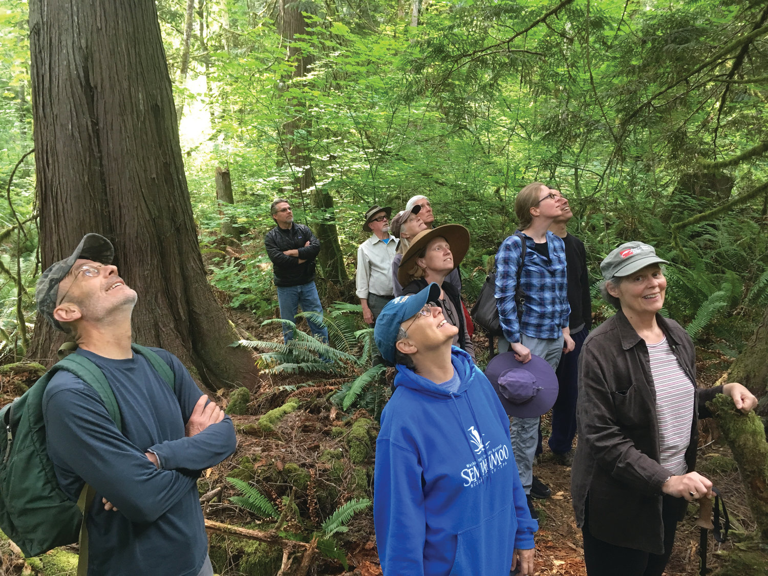 Admiring the trees, a group of supporters learn about a 21-acre forest addition to NWI’s Tarboo Wildlife Preserve, protected with easements held by the U.S. Navy and Jefferson Land Trust.