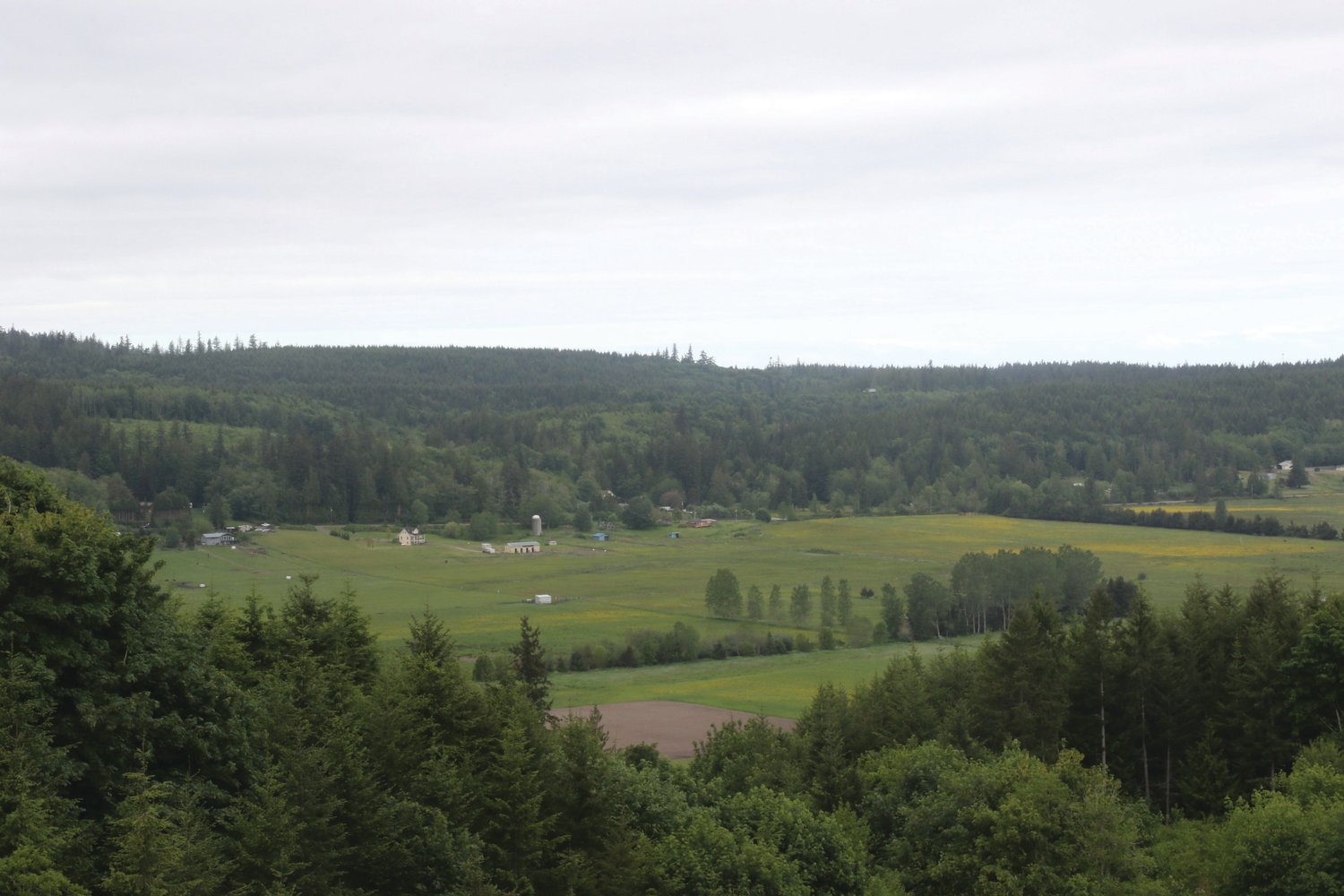 The view from a lookout within the Chimacum Ridge Community Forest boasts a sweeping view of farmlands along Center Road.