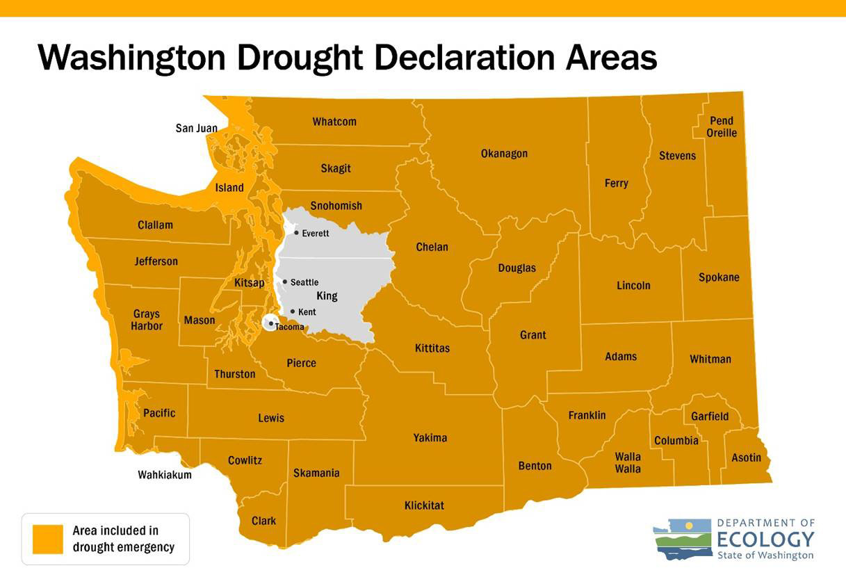 Only three areas — Seattle, Tacoma and Everett — were excluded from the state's drought emergency declaration.