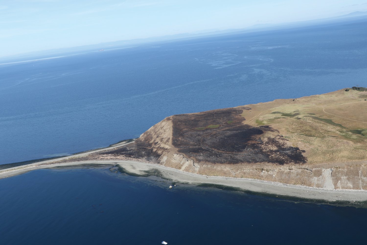 An aerial photo taken during a survey of seal haulouts shows the aftermath of a fire on Protection Island.