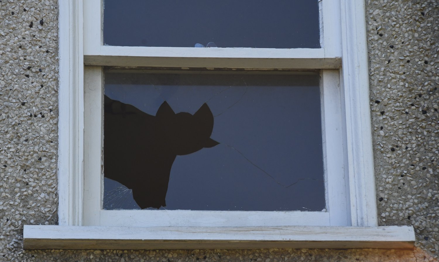 A broken window on the back side of the Cherry Street Building oddly bears the appearance of a cat peering outside.